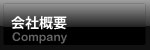 ЊTv